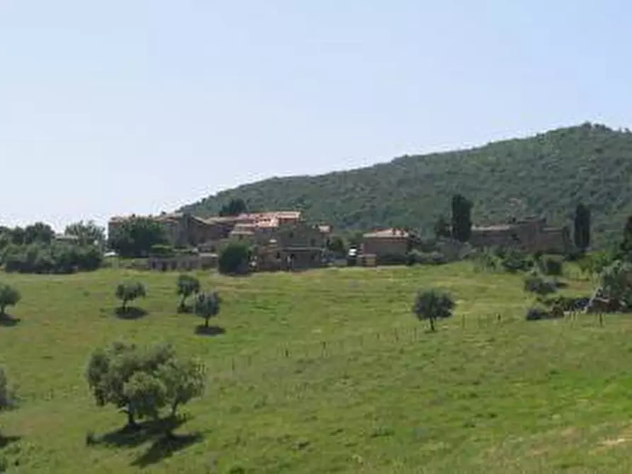 Immagine 1 di Azienda agricola in vendita  a Castelnuovo Val Di Cecina