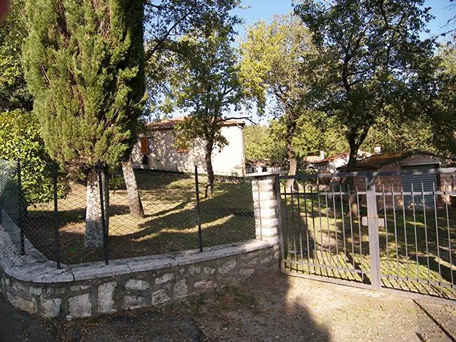 Immagine 1 di Terreno edificabile in vendita  a Torrita Di Siena