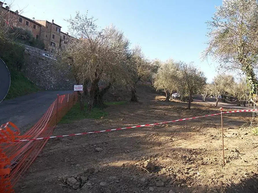 Immagine 1 di Terreno edificabile in vendita  a Torrita Di Siena