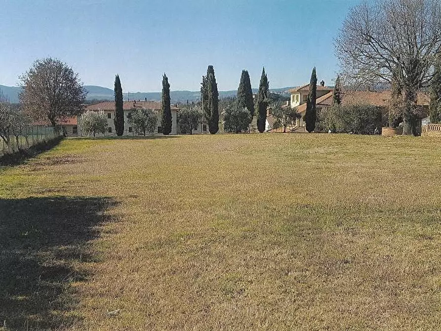 Immagine 1 di Terreno edificabile in vendita  a Sinalunga