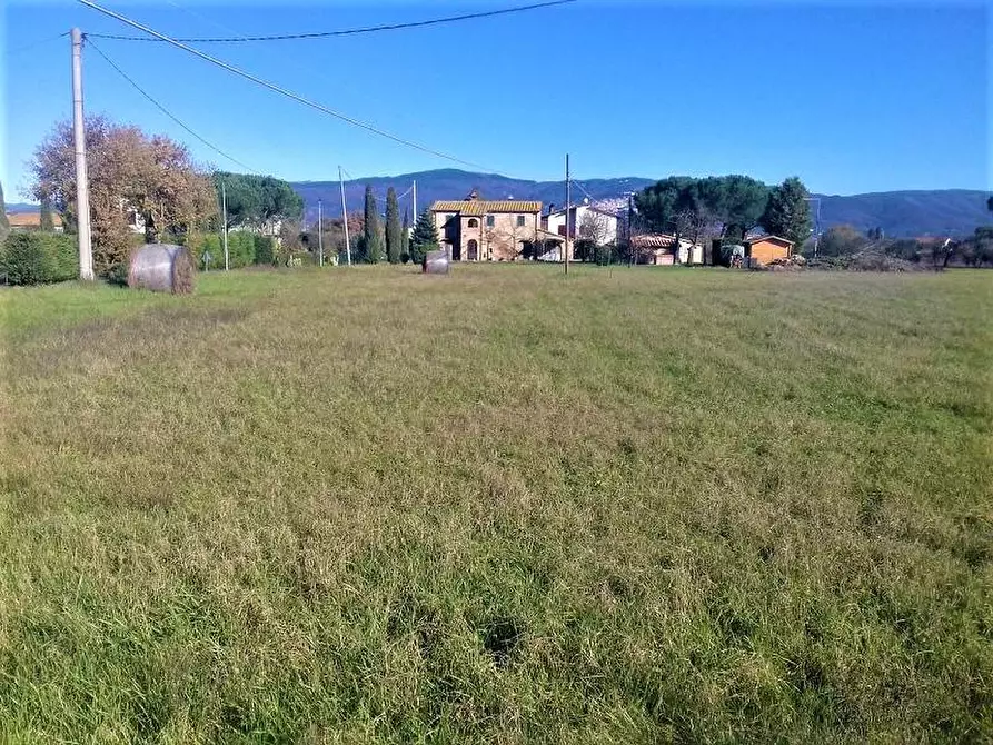 Immagine 1 di Terreno edificabile in vendita  a Cortona
