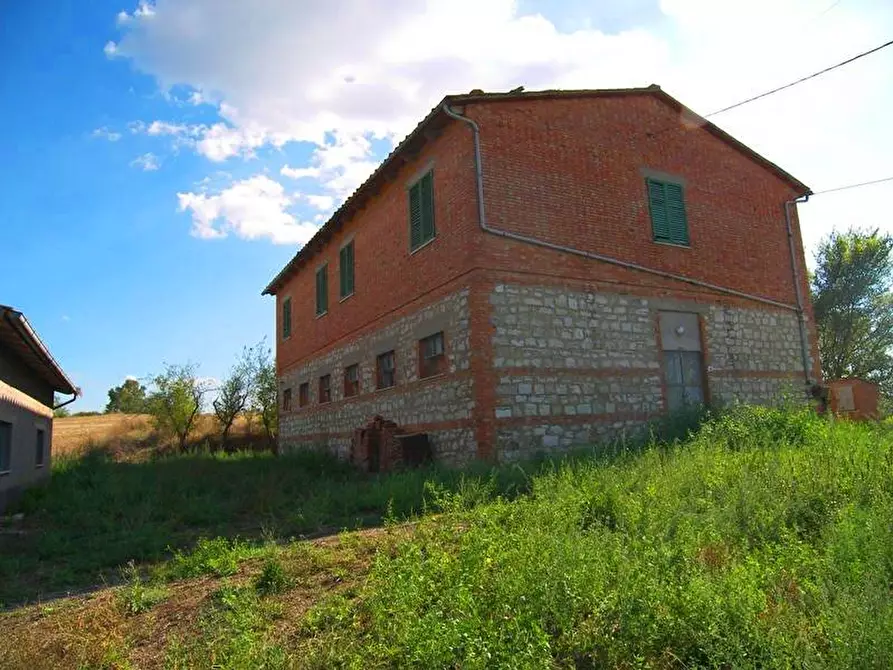 Immagine 1 di Azienda agricola in vendita  a Asciano
