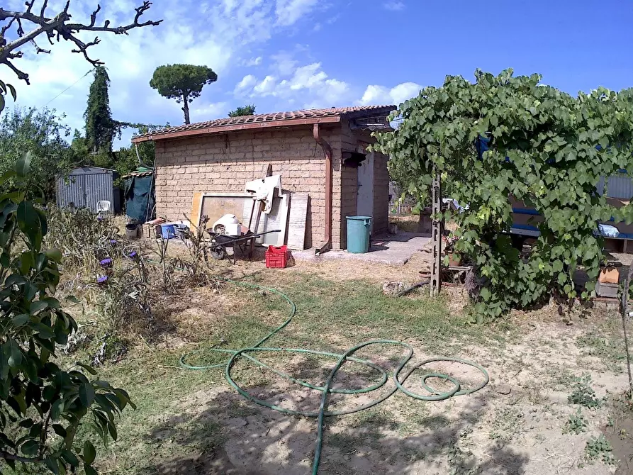 Immagine 1 di Terreno edificabile in vendita  a Grosseto