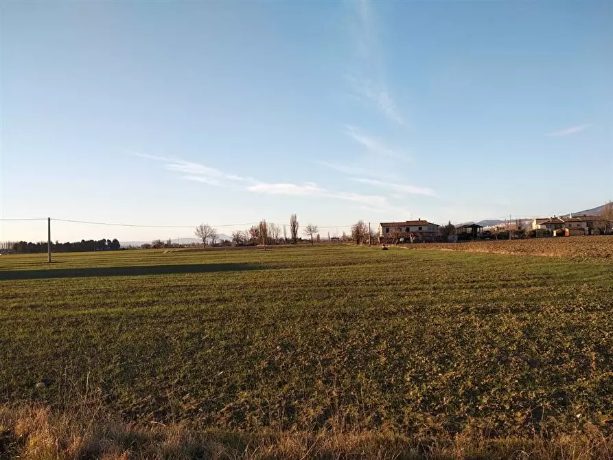 Immagine 1 di Terreno edificabile in vendita  in via Acquatino a Spello