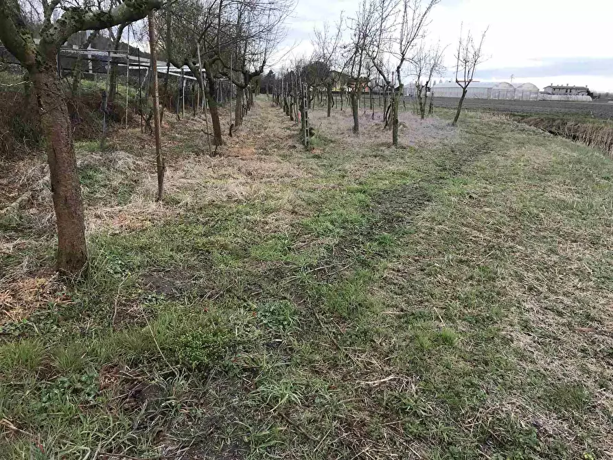 Immagine 1 di Terreno edificabile in vendita  a Chioggia