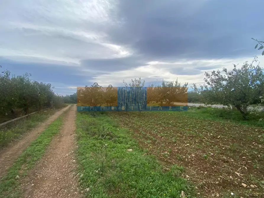 Immagine 1 di Terreno edificabile in vendita  a Modugno
