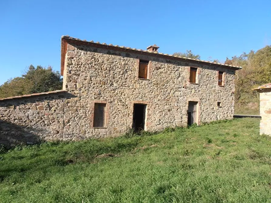 Immagine 1 di Azienda agricola in vendita  a Monterotondo Marittimo