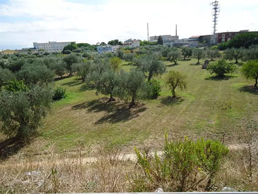 Immagine 1 di Terreno edificabile in vendita  in Strada Vicinale Torre di Mizzo a Bari