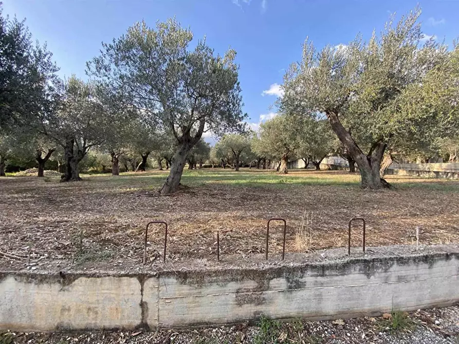 Immagine 1 di Terreno edificabile in vendita  in VIA S. ANSELMO a Giffoni Valle Piana