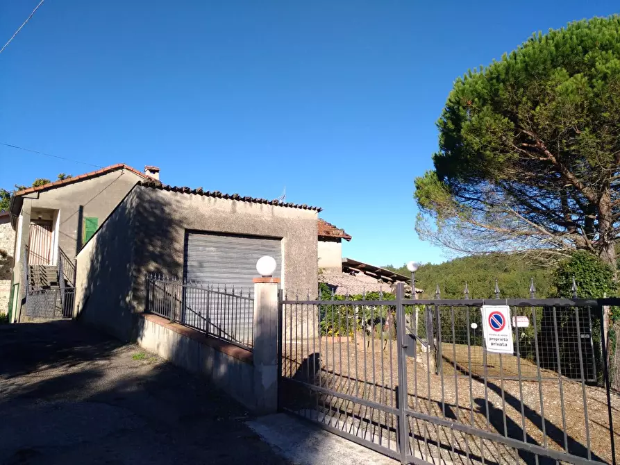 Immagine 1 di Azienda agricola in vendita  a Villafranca In Lunigiana