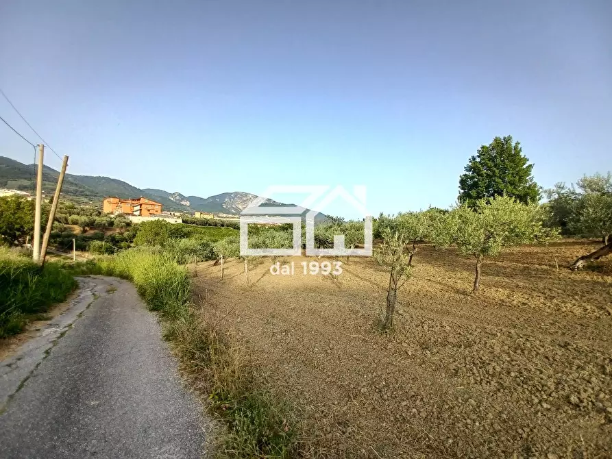 Immagine 1 di Terreno edificabile in vendita  in Via Pangi a Montecorvino Rovella