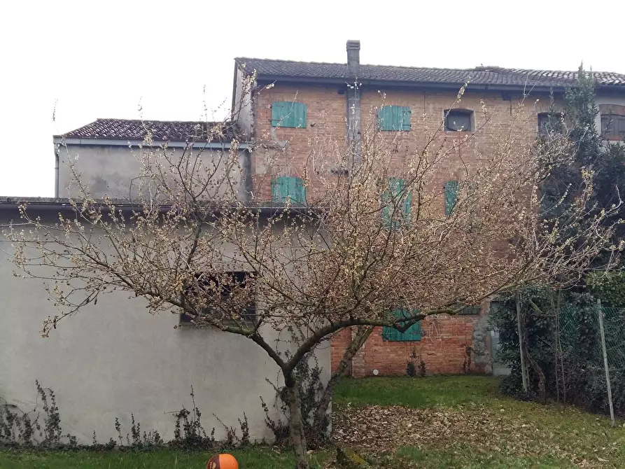 Immagine 1 di Casa indipendente in vendita  a Borgoricco