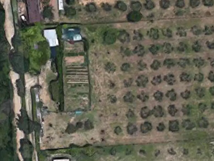 Immagine 1 di Terreno edificabile in vendita  a Follonica
