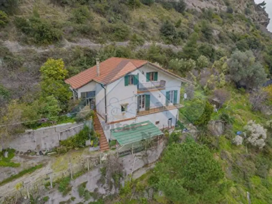 Immagine 1 di Villa in vendita  a Ventimiglia