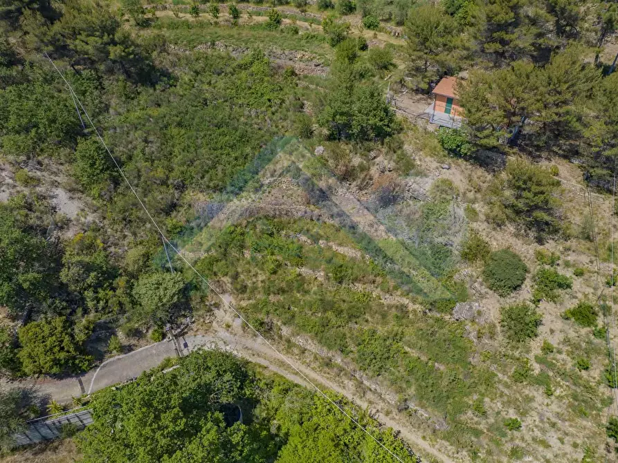 Immagine 1 di Terreno edificabile in vendita  a Bordighera