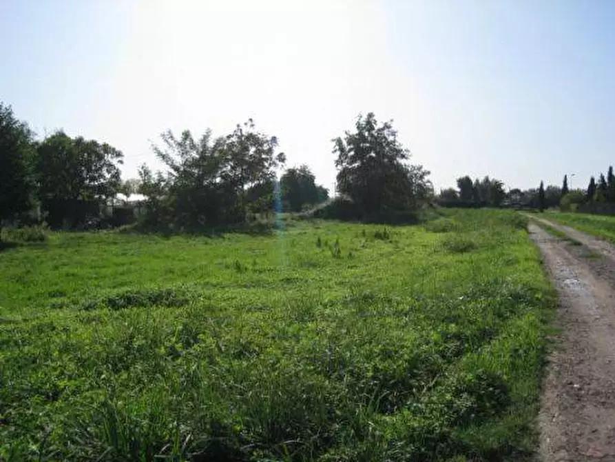 Immagine 1 di Terreno edificabile in vendita  a Massarosa