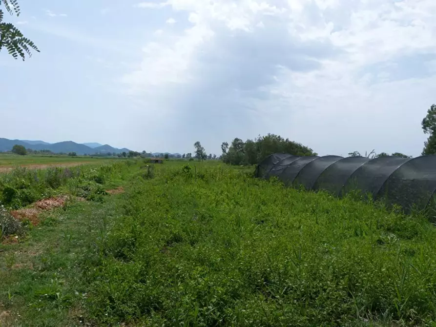 Immagine 1 di Terreno edificabile in vendita  a Massarosa