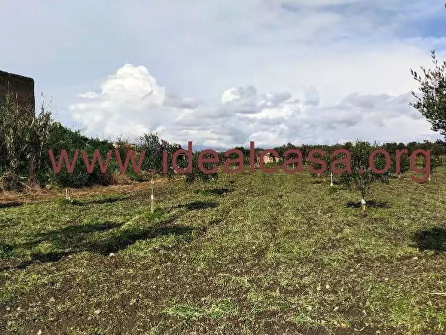 Immagine 1 di Terreno edificabile in vendita  a Mazara Del Vallo