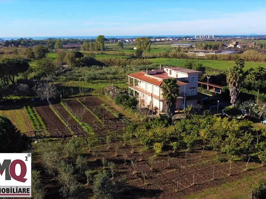 Immagine 1 di Azienda agricola in vendita  a Sessa Aurunca