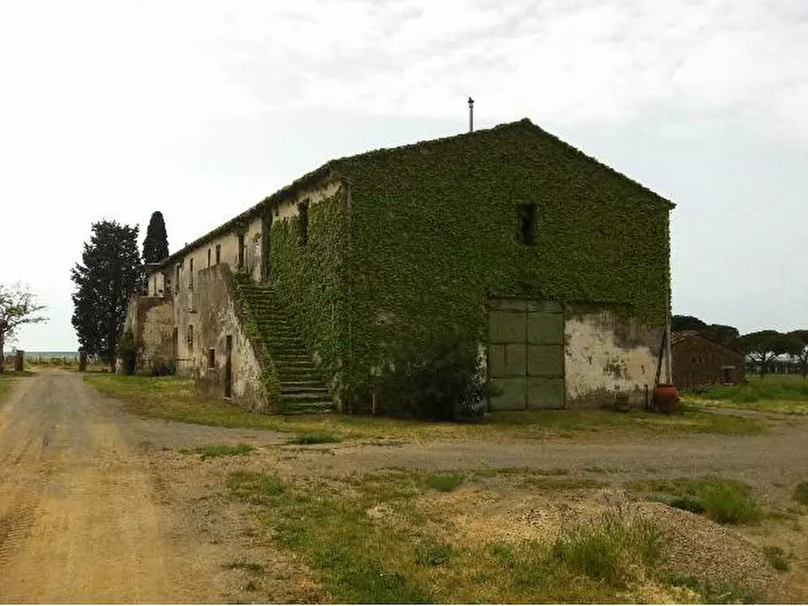 Immagine 1 di Azienda agricola in vendita  a Castiglione Della Pescaia