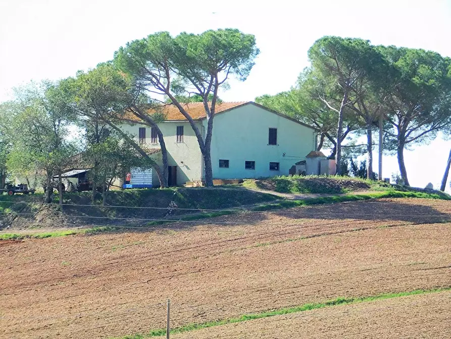 Immagine 1 di Azienda agricola in vendita  a Roccastrada