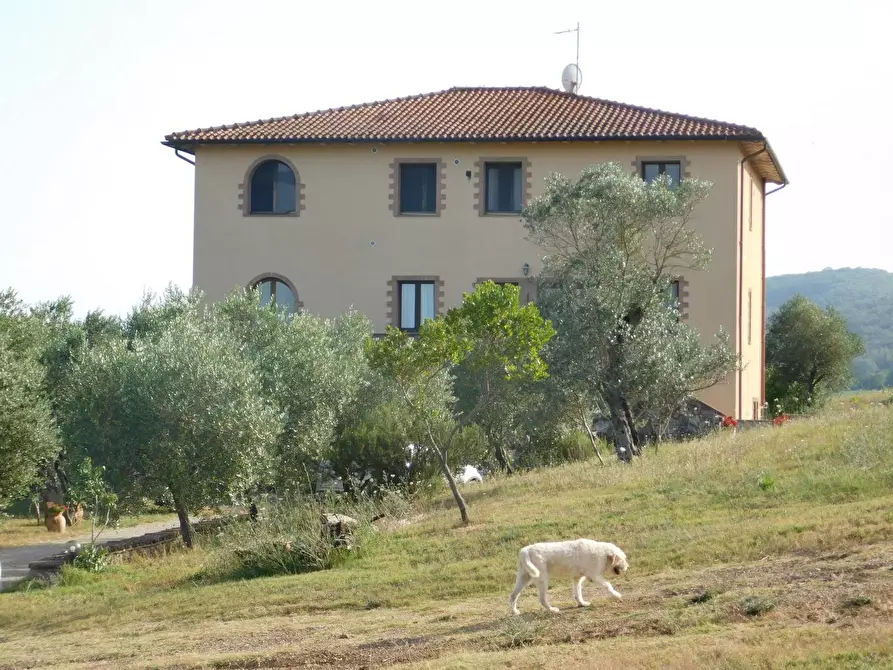 Immagine 1 di Agriturismo in vendita  a Civitella Paganico