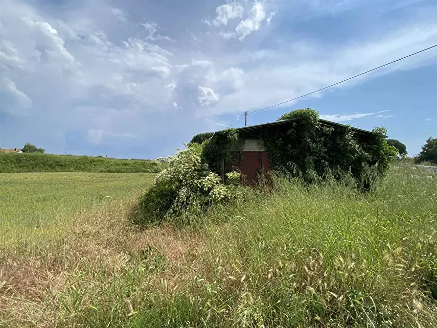 Immagine 1 di Terreno edificabile in vendita  a Camaiore