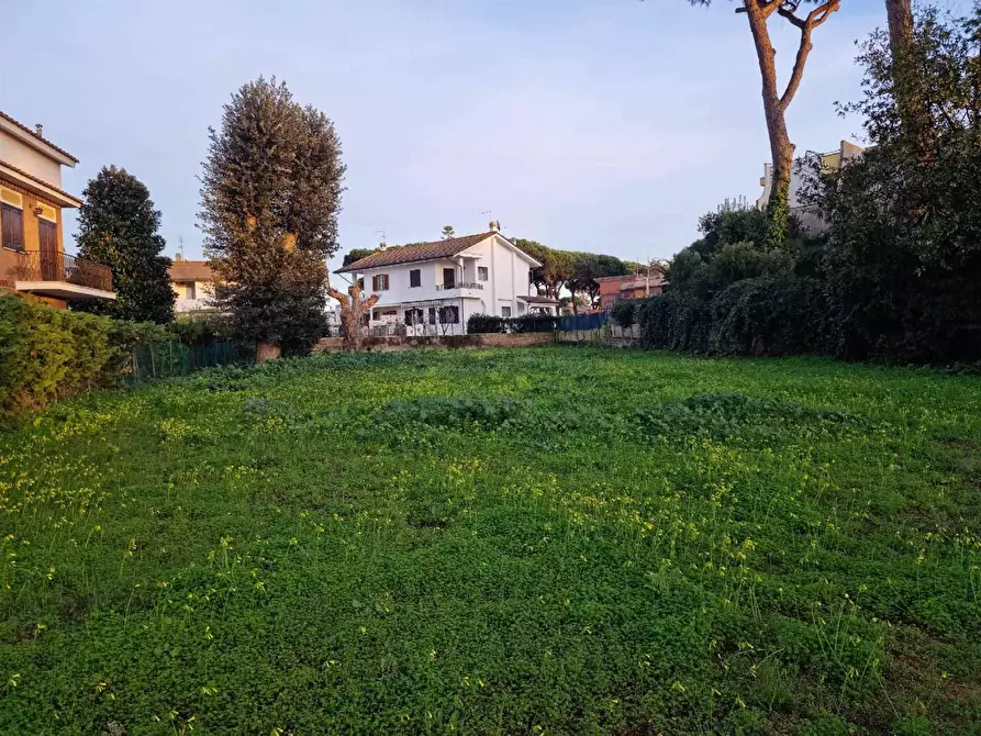 Immagine 1 di Terreno edificabile in vendita  a Anzio