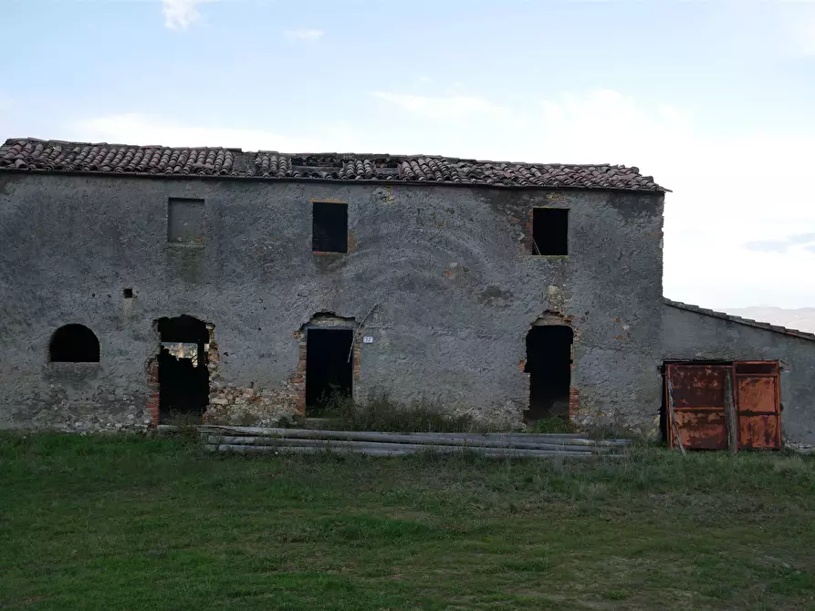Immagine 1 di Azienda agricola in vendita  a Casale Marittimo