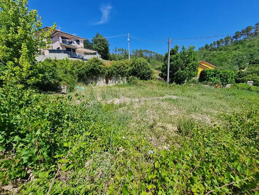 Immagine 1 di Terreno edificabile in vendita  a Beverino