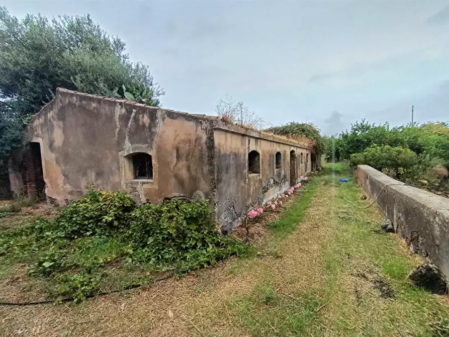 Immagine 1 di Azienda agricola in vendita  in Via Badalà a Fiumefreddo Di Sicilia