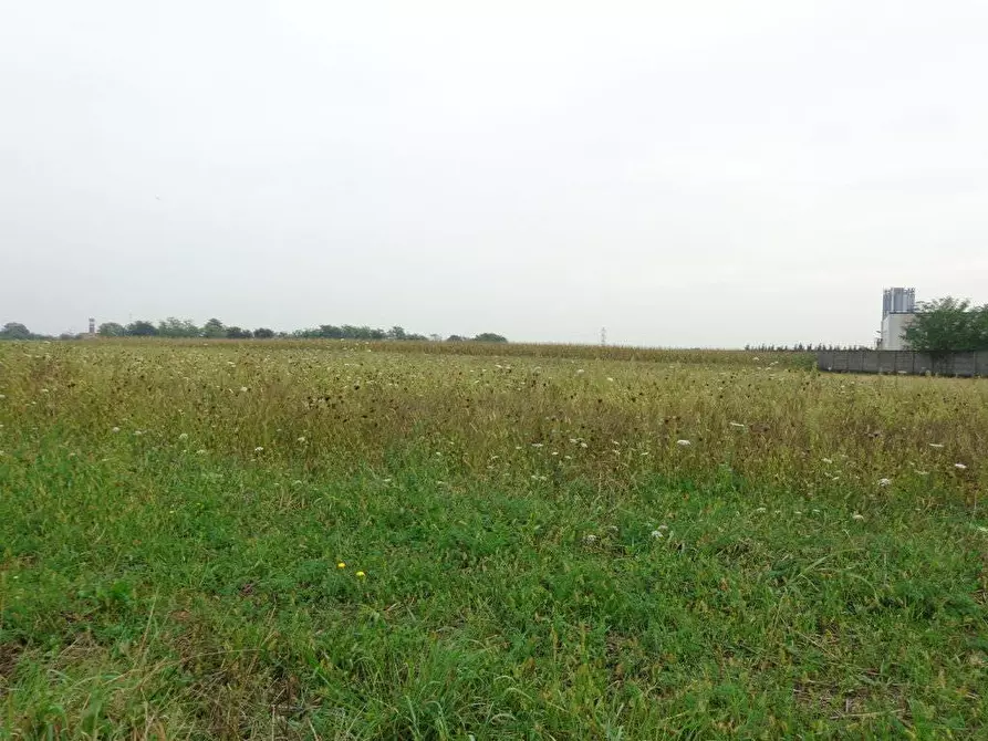 Immagine 1 di Terreno edificabile in vendita  a Grezzago