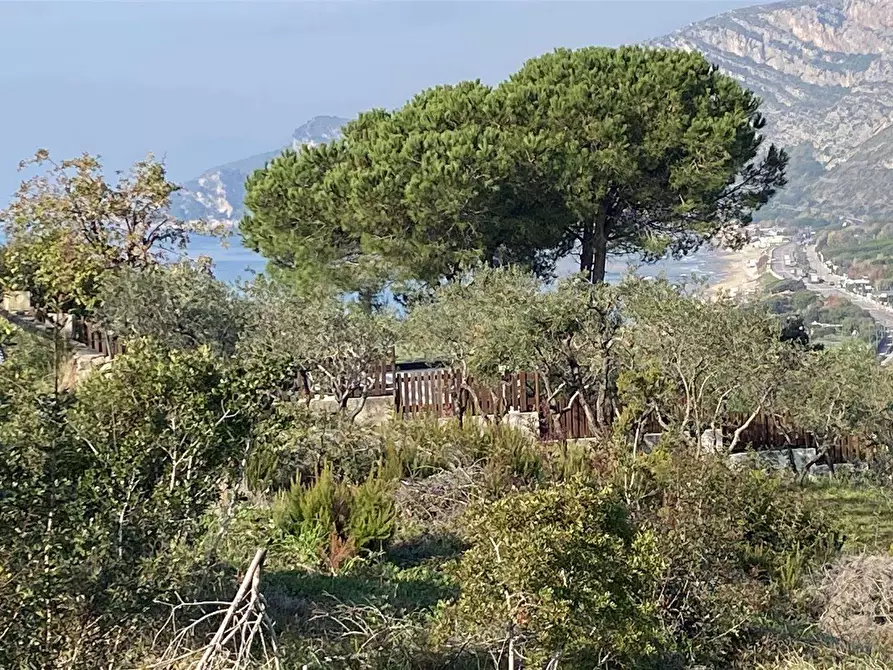 Immagine 1 di Terreno edificabile in vendita  a Gaeta