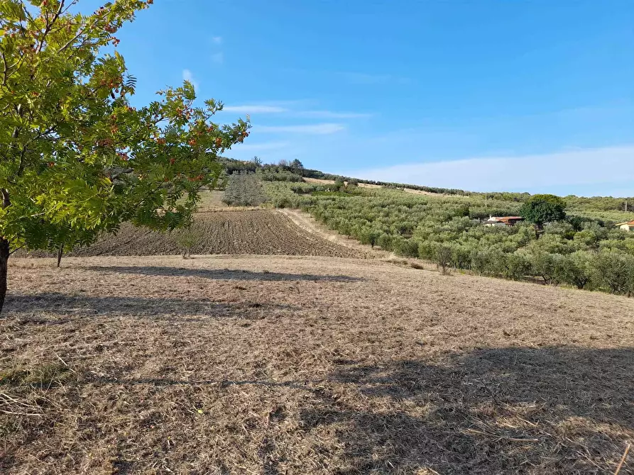 Immagine 1 di Terreno edificabile in vendita  in Via Pezzo del Marchese a Vasto