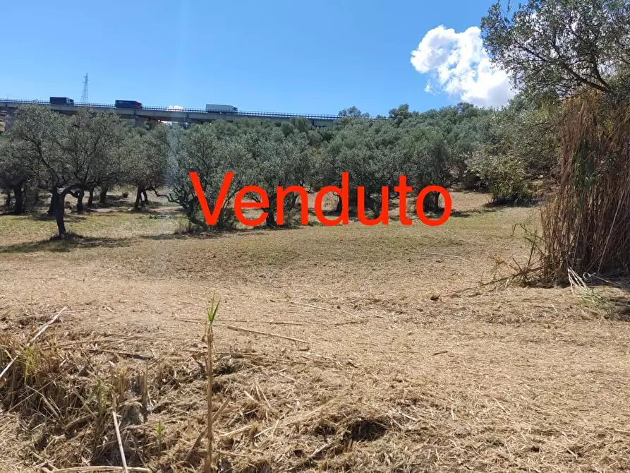 Immagine 1 di Terreno edificabile in vendita  in Via Parco Trattruro a Vasto