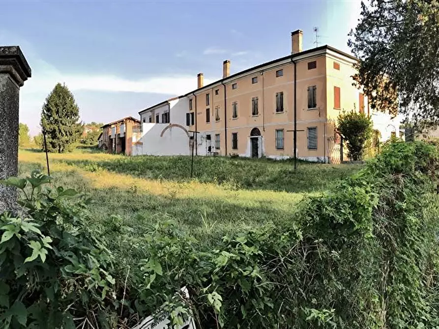 Immagine 1 di Azienda agricola in vendita  a Castel D'ario