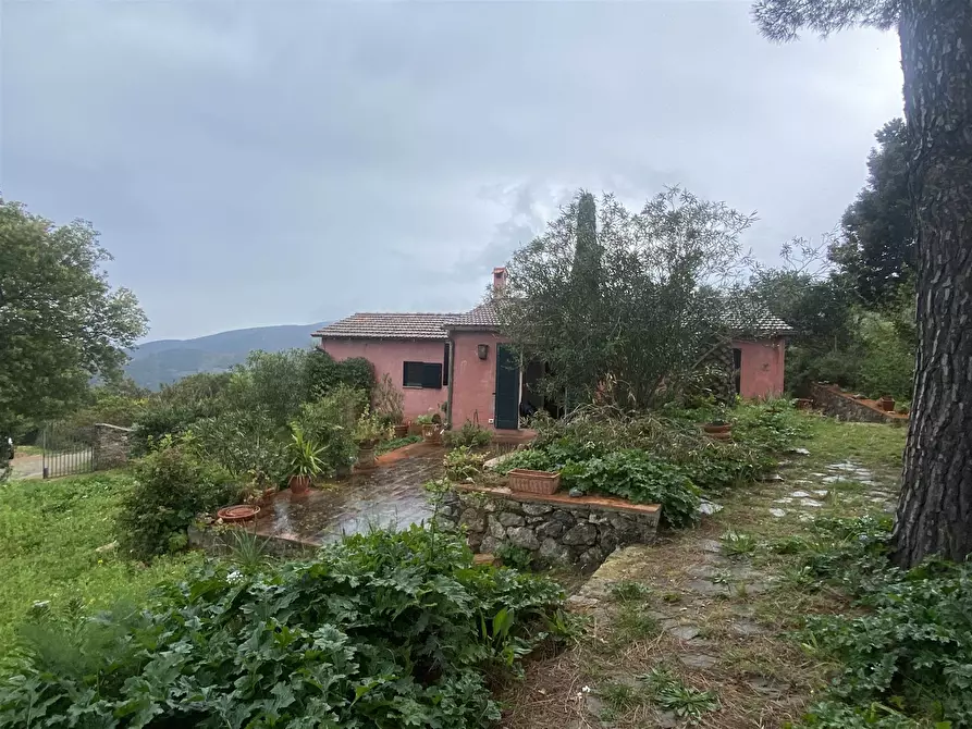 Immagine 1 di Casa indipendente in vendita  a Monte Argentario