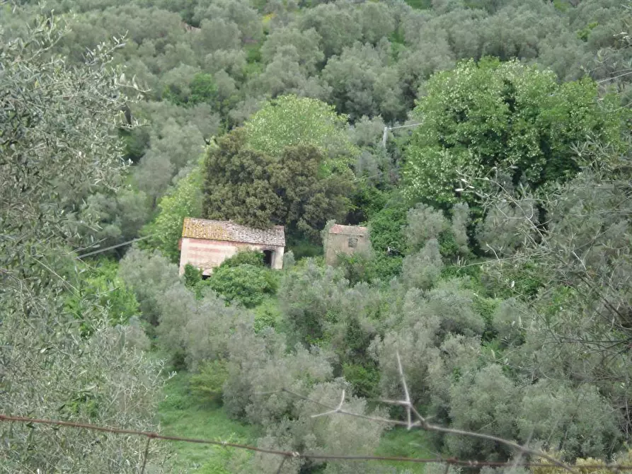 Immagine 1 di Azienda agricola in vendita  a Grosseto