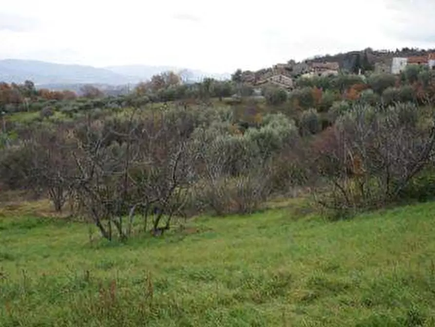 Immagine 1 di Terreno edificabile in vendita  a Dipignano