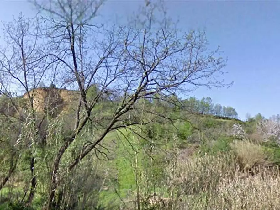 Immagine 1 di Terreno edificabile in vendita  a Cosenza