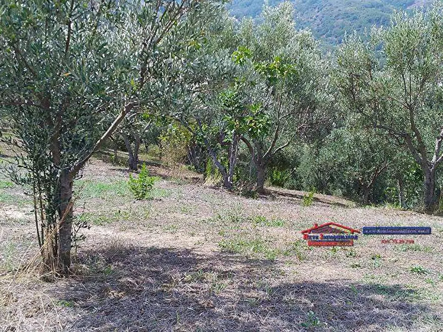 Immagine 1 di Terreno edificabile in vendita  in Contrada Tenimento a Cosenza