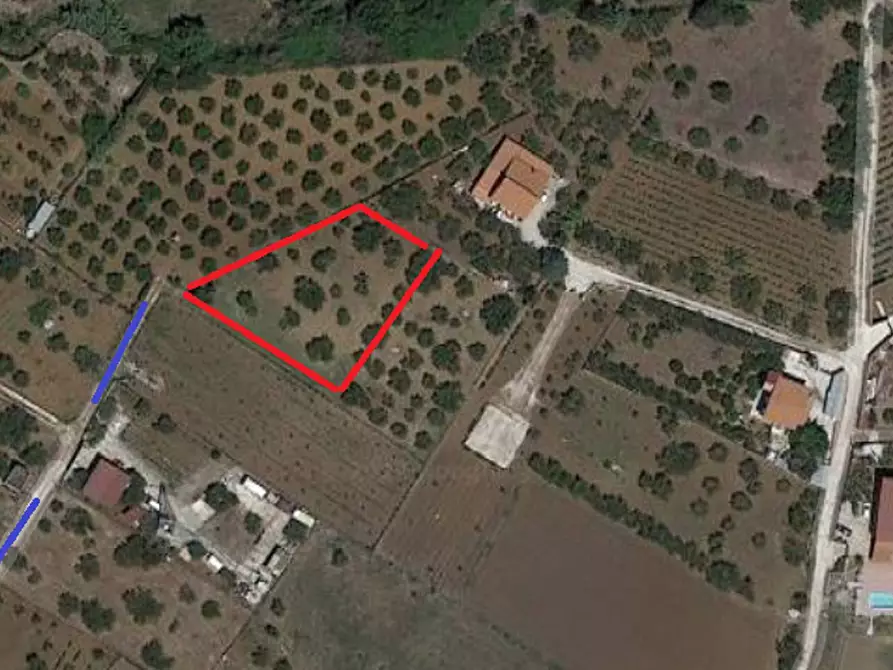 Immagine 1 di Terreno edificabile in vendita  a Partinico