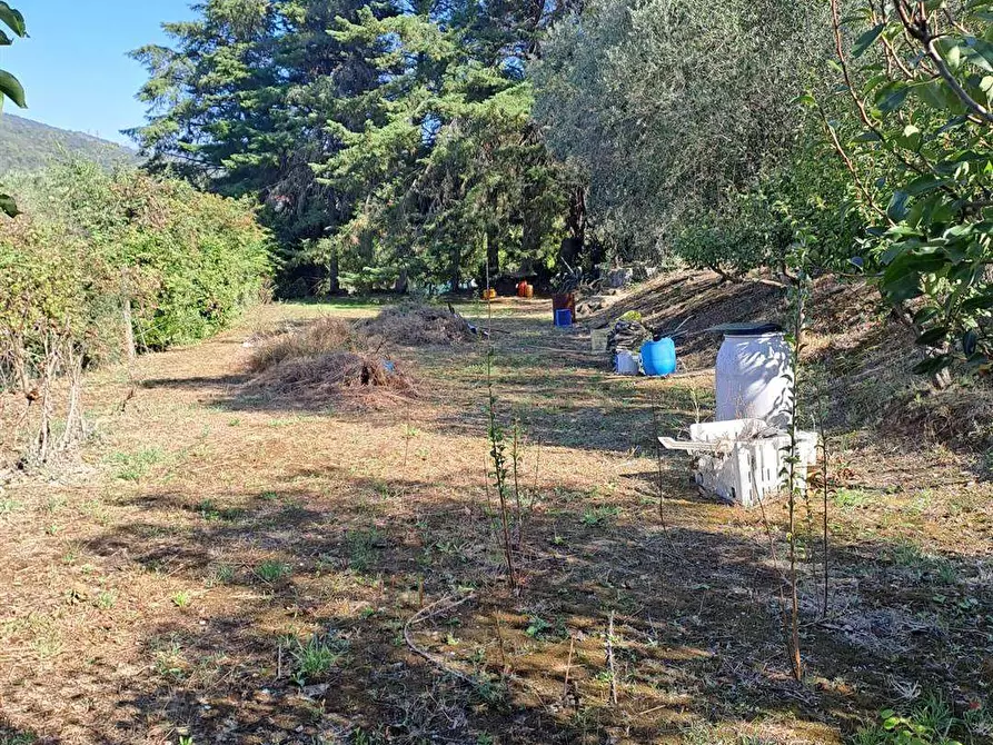 Immagine 1 di Terreno edificabile in vendita  a Livorno