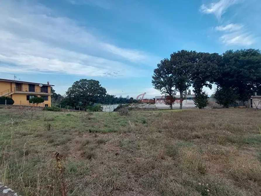 Immagine 1 di Terreno edificabile in vendita  in via della cannuccia a Anzio