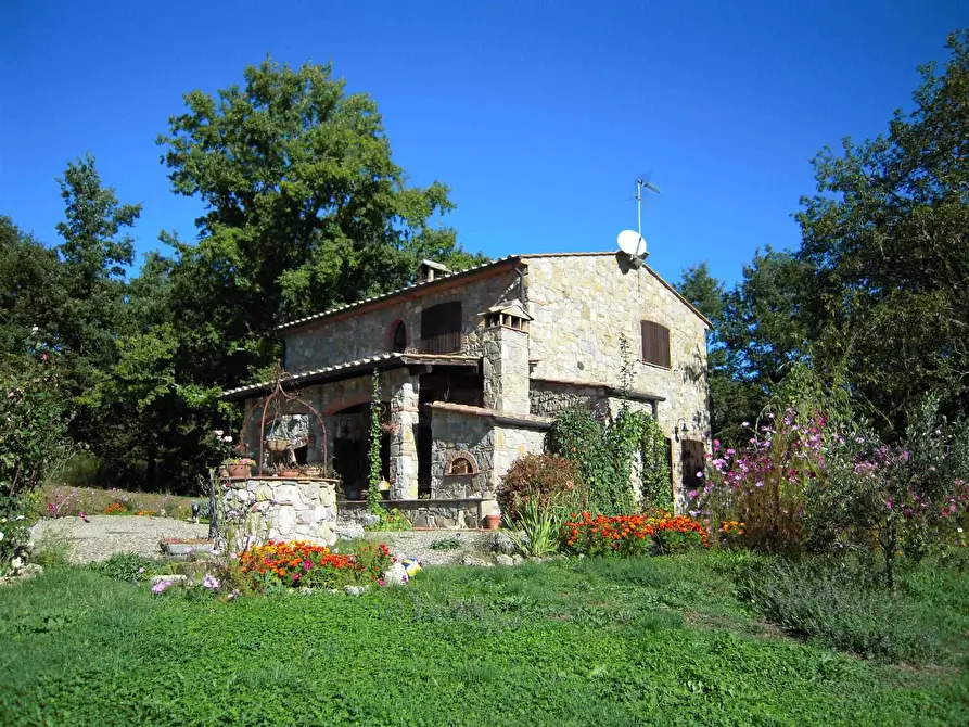 Immagine 1 di Rustico / casale in vendita  a Montieri