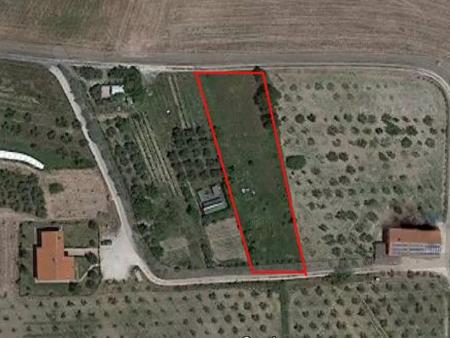 Immagine 1 di Terreno edificabile in vendita  a Rosignano Marittimo