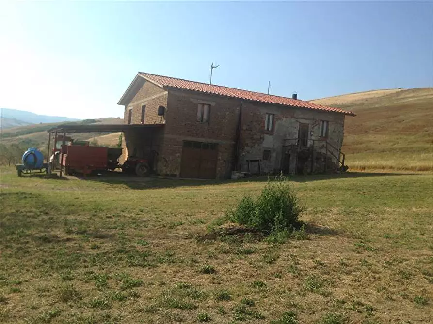 Immagine 1 di Azienda agricola in vendita  a Abbadia San Salvatore
