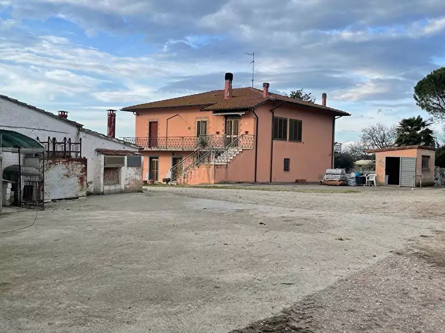 Immagine 1 di Azienda agricola in vendita  a Cortona