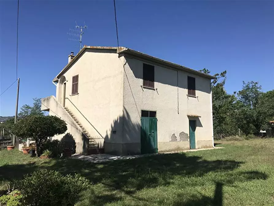 Immagine 1 di Azienda agricola in vendita  a Civitella Paganico
