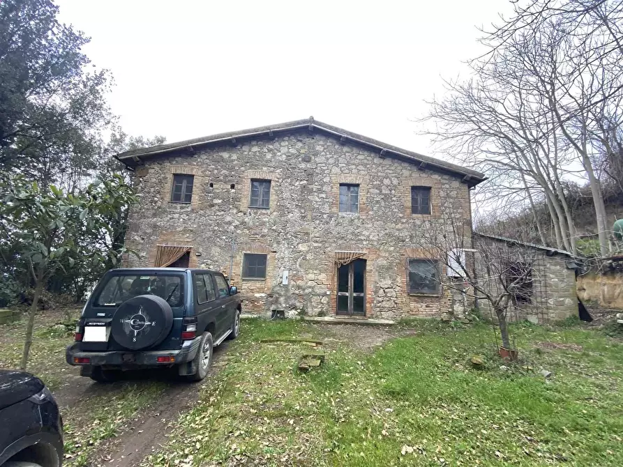 Immagine 1 di Azienda agricola in affitto  a Bomarzo